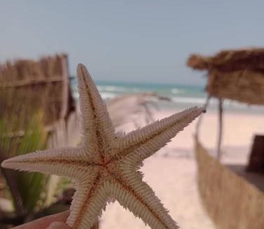 Thies Casa | Beach & Sunset villa