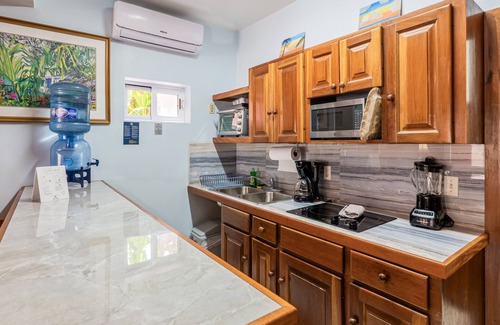 San Pedro Condominio | Beachfront dog-friendly condo with pool - walk to ocean from beachfront veranda