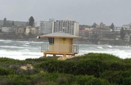 Cronulla Apartamento | Beachfront Living Cronulla