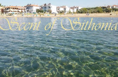 Gerakini Casa | Beachfront SCENT OF SITHONIA with pool, Gerakini, Halikidiki