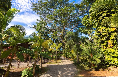 Puerto Viejo de Talamanca Chalet De Esquí | Villa Starfish con aire, piscina, y FRENTE al MAR!