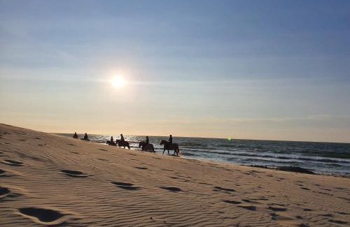 Renesse Complejo | Beachhouse Renesse 2645