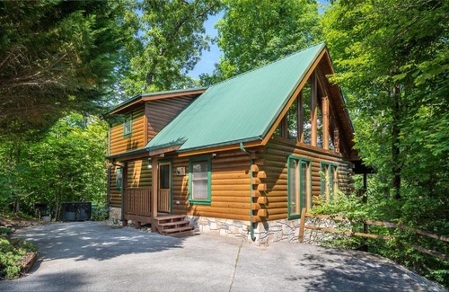 Black Bear Falls Casa | Bear Essentials home