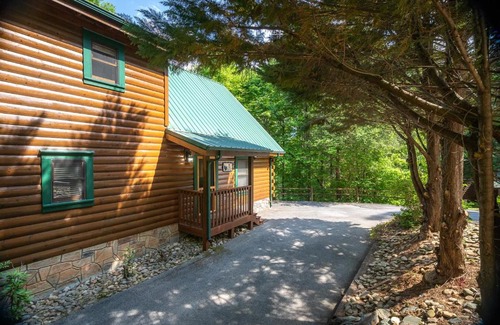 Black Bear Falls Casa | Bear Essentials home