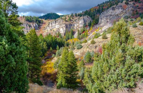 Fish Haven Casa | Bear Lake Vacation Station