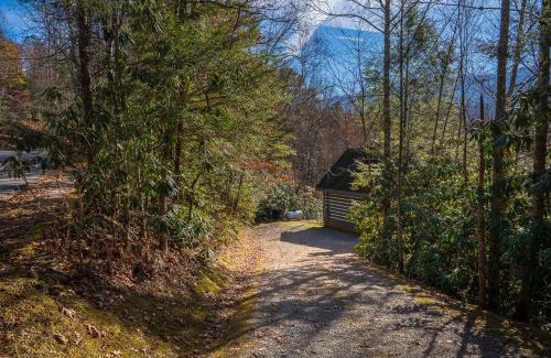 Pittman Center Casa | Bear Necessity by Stony Brook Cabins