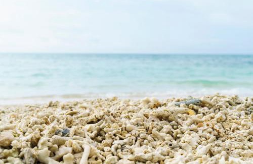 Kumejima Apartamento | Bears Stay Kumejima Eef Beach