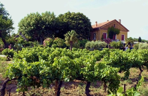 Violes Cabaña | BEAU CASA RURAL EN PROVENCE 60 M2 TOTALMENTE NUEVE DE PIE MONTMIRAIL LACE