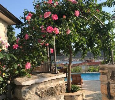 Vinisce Villa | Beautifu stone Vila Krčina