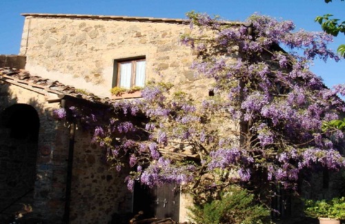 Barberino Val d'Elsa Cabaña | Hermosa casa de campo de 1 dormitorio con jardín y vistas a los olivares, piscina