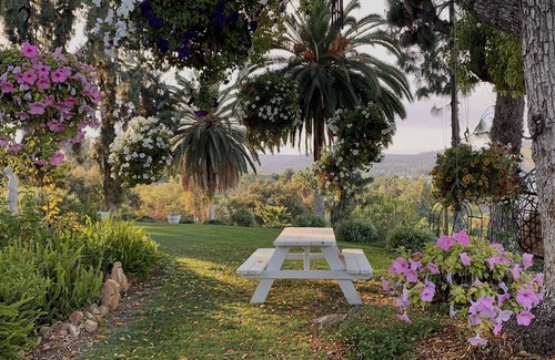 Winter Gardens Casa | Beautiful 1895 Mansion + Enchanting 2 Acre Garden.