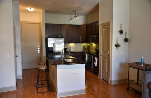 Astrodome Apartamento | Beautiful 1br medical Center Nrg Stadium