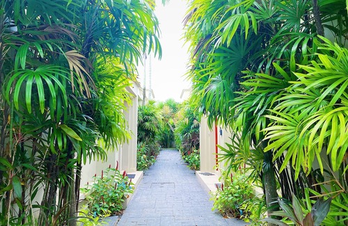 Cherngtalay Villa | Beautiful 1br Plunge Pool Villa Walk To Bangtao Beach