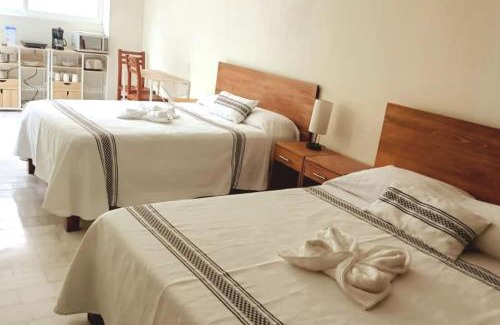 Oaxaca Casa | Beautiful 2BR, 1BA parking