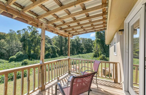 Ranburne Casa | Beautiful 3-bedroom quiet country house in Ranburne, Alabama