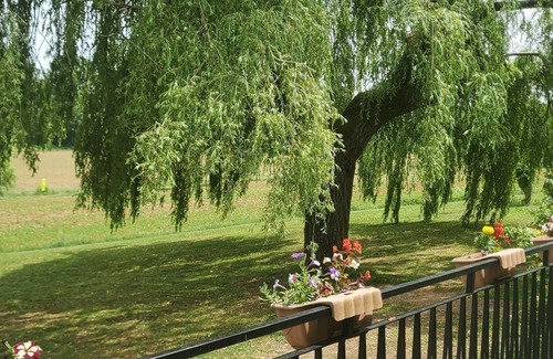 Laussou Casa | Beautiful 4 bedroom property near to Monflanquin