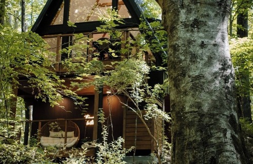 Abbeville Cabaña | Beautiful A frame Nestled Among the Trees