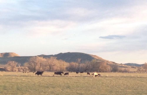 Buffalo Casa | Hermosa y privada casa de huéspedes en Clear Creek con vistas a la montaña