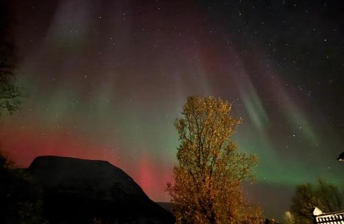 Tromso Apartamento | beautiful apartment in nature
