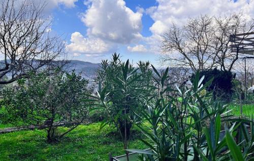 Pazin Apartamento | Beautiful Apartment In Pazin With Wifi