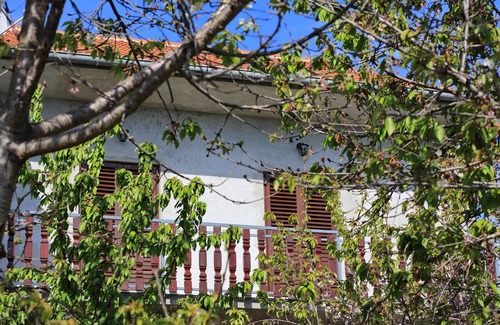 Bibinje Apartamento | Precioso apartamento con un gran jardín y vistas al mar.