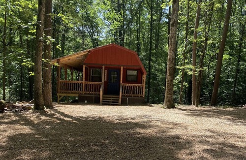 Mount Ida Cabina | Beautiful cabin on a beautiful property. Secluded and quiet! Close to town!