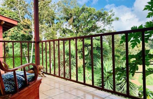 Arenal Casa | Beautiful Casa Aire near Lake Arenal in Nuevo Arenal - Casas Airelibre
