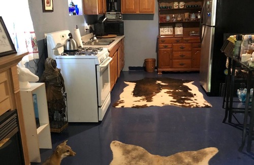 Crescent City Cabaña | Beautiful cottage on 28 acres of prime land, in Fruitland, Florida!
