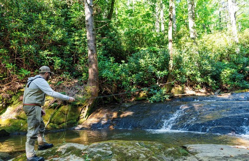 Zirconia Cabina | Luxury Family Tree Tent in Tuxedo Falls Resort with Private Waterfalls & Hiking