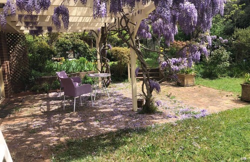 Moss Vale Cama Y Desayuno | Beautiful Daffodil Suite at Highland Garden Hideaway