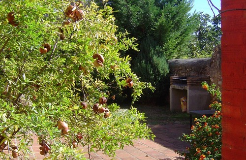 Banyeres del Penedés Cabaña | Preciosa casa para 5 personas con Jardin.