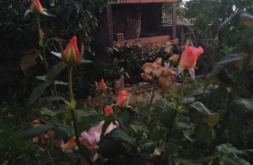Petralona Casa | beautiful feelings in a beautiful part of Halkidiki