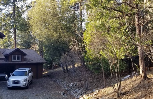 Cascadel Woods Casa | Hermosa escapada al bosque del ruido y el tráfico de la ciudad