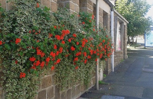 Noues de Sienne Casa | Hermosa Maison De Maitre en el corazón del bonito pueblo