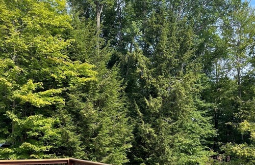 Hadley Casa | Beautiful Great Sacandaga lakefront home. Sleeps 8+. 96' private beach & dock.