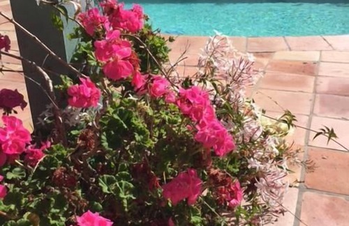 West Mesa Casa | Hermosa casa, a 1/2 cuadra del océano, con piscina, jardín, detalles artesanales