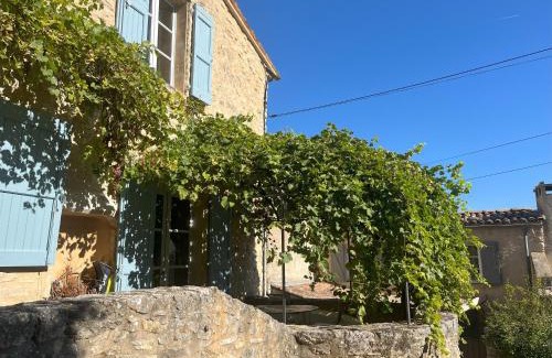 Forcalquier Villa | Beautiful house with swimming pool in the historic center