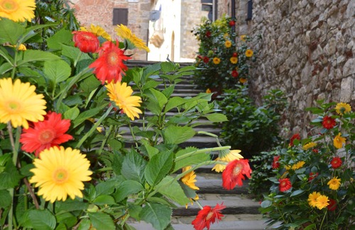 Marciano della Chiana Casa | Beautiful home in a medieval village - excellent quality-price ratio