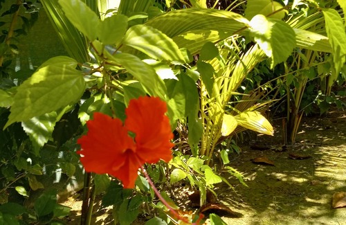 Bocas del Toro Casa | Beautiful large home in Paunch, Bocas del Toro