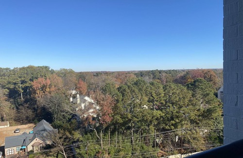 Brookhaven Condominio | Beautiful Luxury Buckhead Condominium