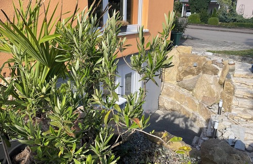 Hirschegg Apartamento | Beautiful, modern vacation apartment in a quiet location with sun terrace