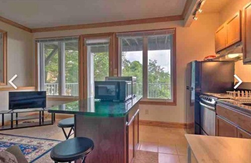 Boone Apartamento | Beautiful mountain-Peaceful Condo
