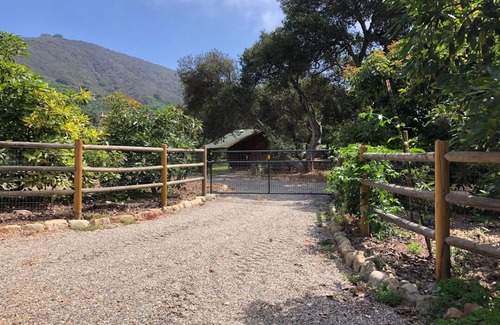 Toro Canyon Casa | Beautiful mountain view avocado ranch. 6 minutes to Carpinteria & beaches.