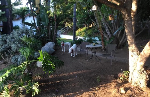 Fallbrook Casa | Beautiful new detached casita nestled in scenic southern CA foothills!