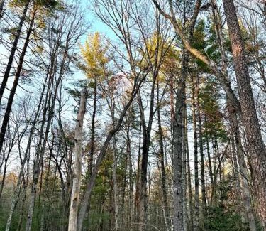 Unaka Casa | Beautiful & peaceful cabin w/deck garden & fire-pit