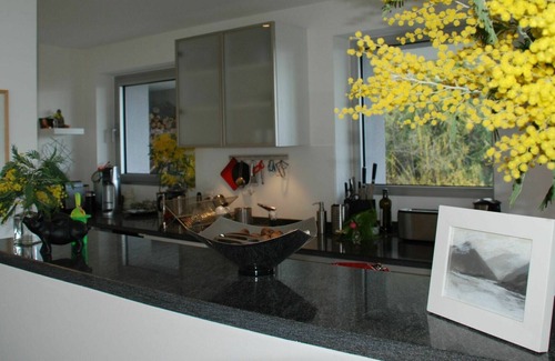 Brissago Villa | Beautiful private villa for 4 people with WIFI, TV, patio, pets allowed, panoramic view and park...