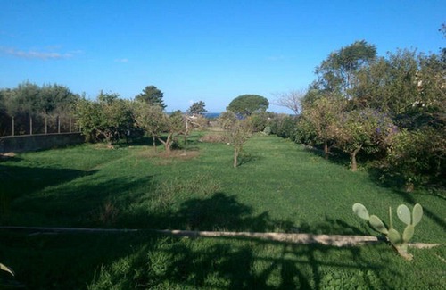 Terrasini Villa | Hermosa propiedad con tierra orgánica cerca del mar