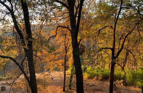 Middletown Casa | Beautiful Quiet Mountain Getaway, Amazing Views