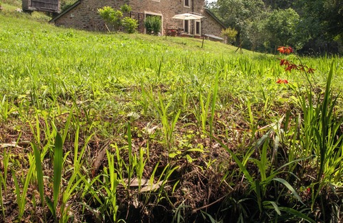 Ortigueira Casa | Beautiful renovated watermill minutes from the beach. Pets welcome!