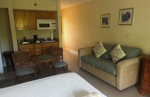 St. Petersburg - Clearwater Complejo | Beautiful Studio with Ocean View!